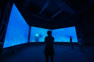 Inauguración videoinstalación Mojana - Ciclo Rosa 