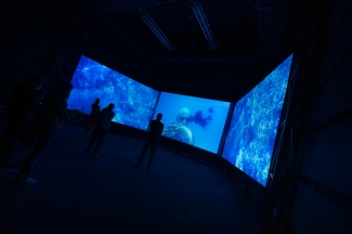 Inauguración videoinstalación Mojana - Ciclo Rosa 
