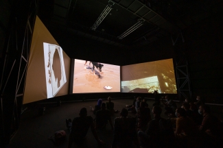 Inauguración videoinstalación Mojana - Ciclo Rosa 