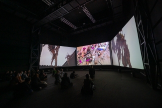 Inauguración videoinstalación Mojana - Ciclo Rosa 