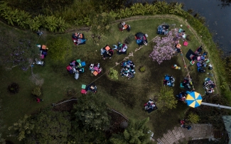 Pícnic Literario en el Jardín Botánico