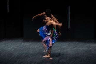 Cellule - Clausura Festival Danza en la Ciudad