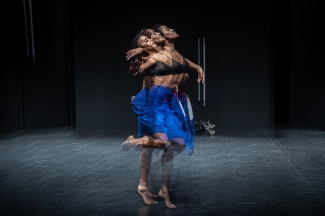 Cellule - Clausura Festival Danza en la Ciudad