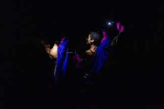 Cellule - Clausura Festival Danza en la Ciudad