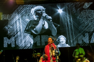 Homenaje a Totó la Momposina