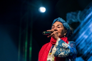 Homenaje a Totó la Momposina