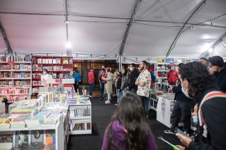 Pequeños Conciertos en Librerías.