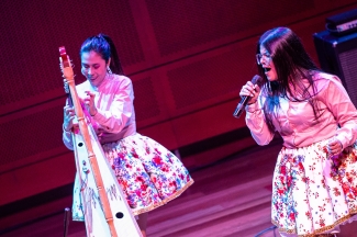 Acupuntura Musical Suba