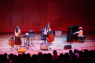 Acupuntura Musical Suba