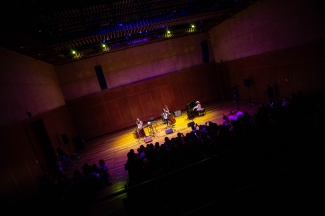 Acupuntura Musical Suba