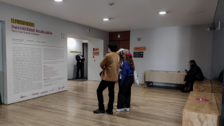 Premio Luis Caballero - Inestabilidad Incalculable