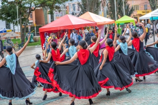 Bienal Internacional de Arte de Suba