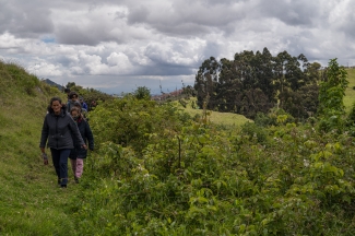 Recorrido parque arqueológico necrópolis indígena