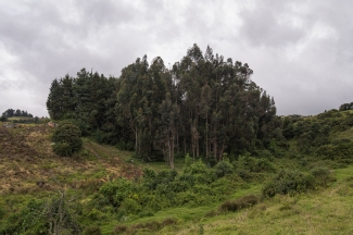 Recorrido parque arqueológico necrópolis indígena