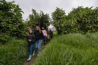 Recorrido parque arqueológico necrópolis indígena