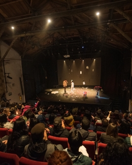Artista en escenario