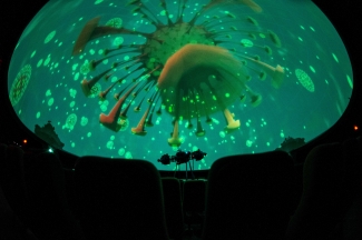 Planetario Nocturno