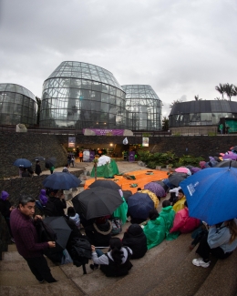 Teatro en Jardín Botánico