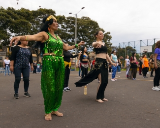 Taller danza orienta - Desert Flowers