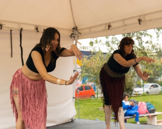 Taller danza orienta - Desert Flowers