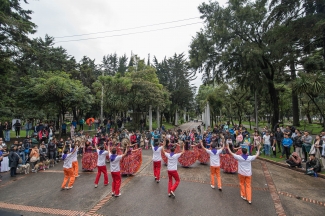 Franjas académicas de Colombia al Parque 2023