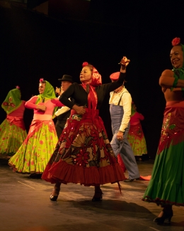 Feria de la danza - Antonio Nariño