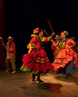 Feria de la danza - Antonio Nariño