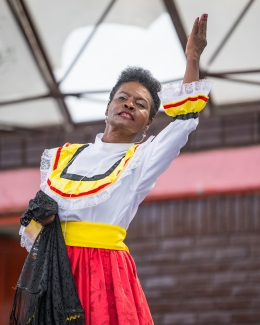Festival ciudad folclor