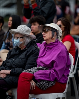 Festival ciudad folclor