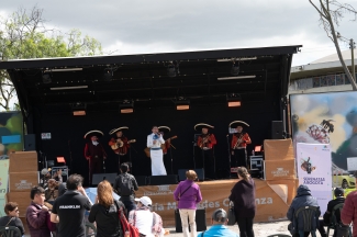 Serenatas a Bogotá, Proyecto Mixtura
