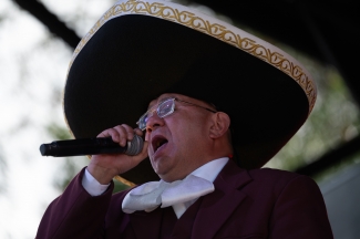 Serenatas a Bogotá, Proyecto Mixtura