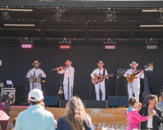 Serenatas a Bogotá, Proyecto Mixtura