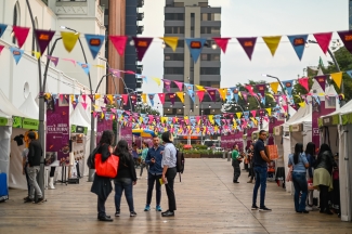 Zona de Arte y Emprendimiento ZAE Av Chile