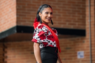 Celebración día de la Danza