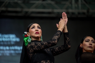 Celebración día de la Danza