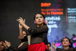 Celebración día de la Danza
