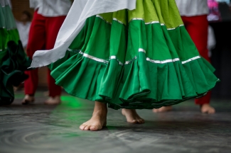 Celebración día de la Danza