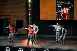 Celebración día de la Danza