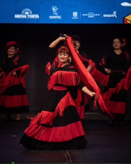 FESTIVAL CIUDAD FOLCLOR 