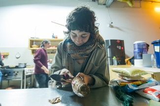 Charla interespecies Coloquio An-arqueologia